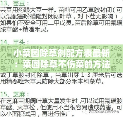 小菜園除草劑配方表最新：菜園除草不傷菜的方法 