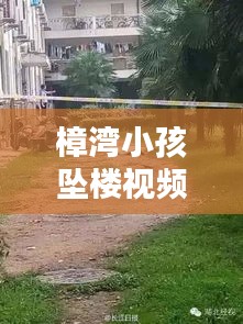 樟灣小孩墜樓視頻最新：樟樹灣學(xué)校 