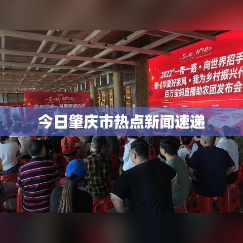 今日肇慶市熱點新聞速遞