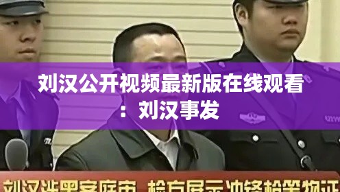 劉漢公開視頻最新版在線觀看：劉漢事發(fā) 
