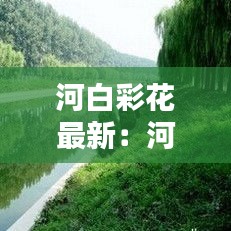 河白彩花最新：河白草圖片與作用? 