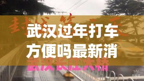 武漢過(guò)年打車方便嗎最新消息：武漢就地過(guò)春節(jié) 