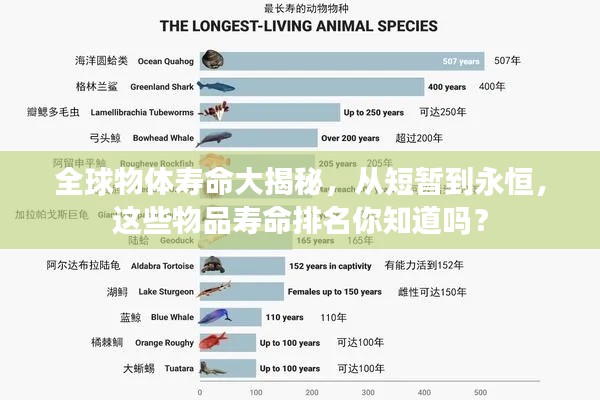 全球物體壽命大揭秘，從短暫到永恒，這些物品壽命排名你知道嗎？