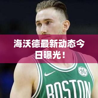 海沃德最新動態(tài)今日曝光！