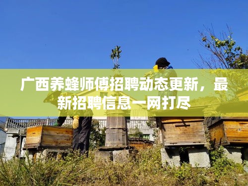 廣西養(yǎng)蜂師傅招聘動(dòng)態(tài)更新，最新招聘信息一網(wǎng)打盡