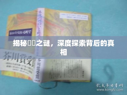 揭秘滝沢之謎，深度探索背后的真相