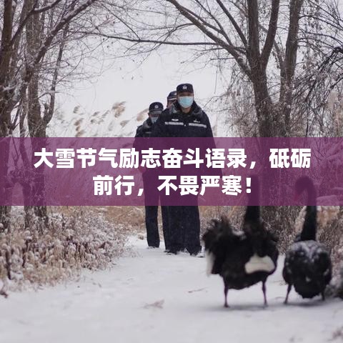 大雪節(jié)氣勵志奮斗語錄，砥礪前行，不畏嚴(yán)寒！