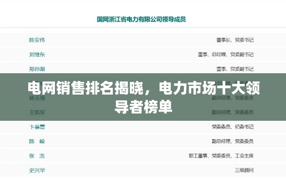 電網銷售排名揭曉，電力市場十大領導者榜單