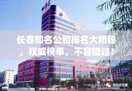 長春知名公司排名大揭秘，權(quán)威榜單，不容錯(cuò)過！