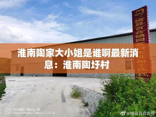 淮南陶家大小姐是誰啊最新消息：淮南陶圩村 