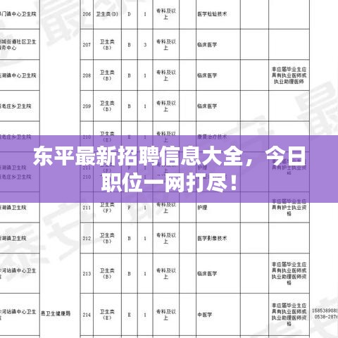 東平最新招聘信息大全，今日職位一網(wǎng)打盡！