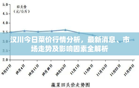 漢川今日菜價行情分析，最新消息、市場走勢及影響因素全解析