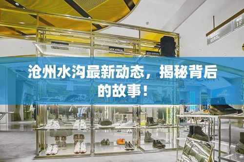 滄州水溝最新動(dòng)態(tài)，揭秘背后的故事！