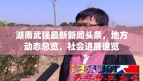 湖南武強(qiáng)最新新聞?lì)^條，地方動(dòng)態(tài)總覽，社會(huì)進(jìn)展速覽