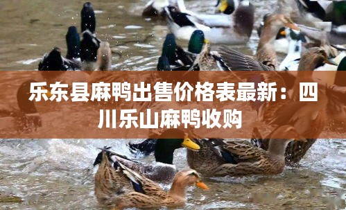 樂東縣麻鴨出售價(jià)格表最新：四川樂山麻鴨收購 