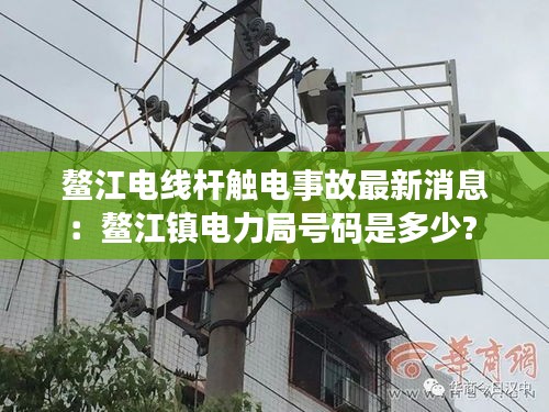 鰲江電線桿觸電事故最新消息：鰲江鎮(zhèn)電力局號碼是多少? 