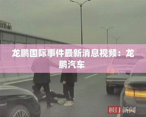 龍鵬國(guó)際事件最新消息視頻：龍鵬汽車(chē) 