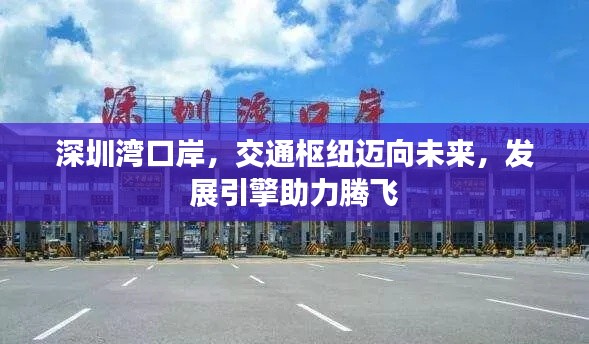 深圳灣口岸，交通樞紐邁向未來，發(fā)展引擎助力騰飛