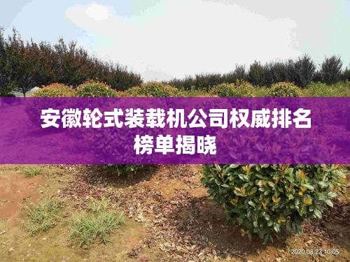 安徽輪式裝載機(jī)公司權(quán)威排名榜單揭曉