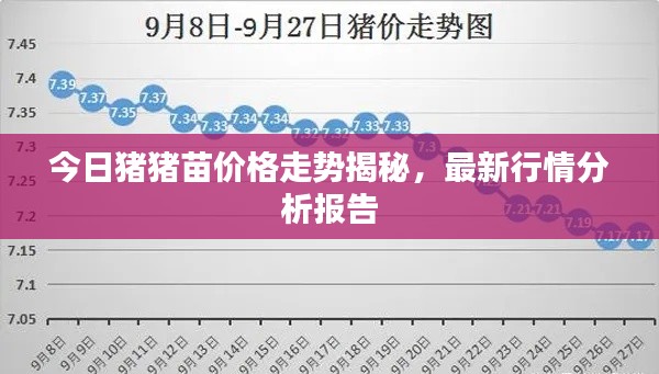 今日豬豬苗價(jià)格走勢揭秘，最新行情分析報(bào)告