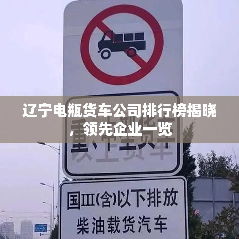 遼寧電瓶貨車(chē)公司排行榜揭曉，領(lǐng)先企業(yè)一覽
