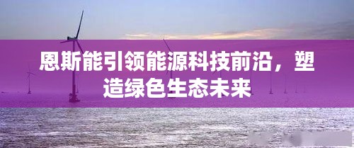 恩斯能引領(lǐng)能源科技前沿，塑造綠色生態(tài)未來