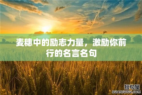 麥穗中的勵志力量，激勵你前行的名言名句