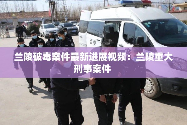 蘭陵破毒案件最新進(jìn)展視頻：蘭陵重大刑事案件 