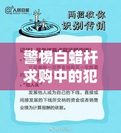 警惕白蠟桿求購中的犯罪風(fēng)險(xiǎn)，最新求購信息及防范指南