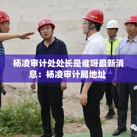 楊凌審計處處長是誰呀最新消息：楊凌審計局地址 