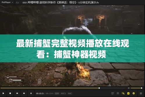 最新捕蟹完整視頻播放在線觀看：捕蟹神器視頻 