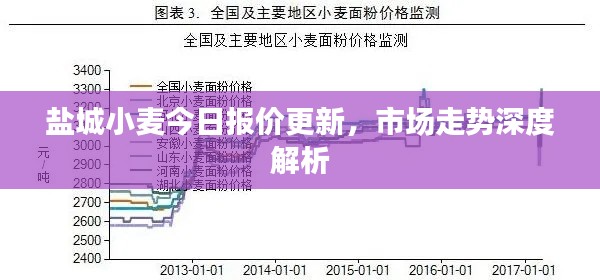 鹽城小麥今日?qǐng)?bào)價(jià)更新，市場(chǎng)走勢(shì)深度解析