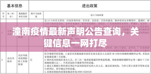 潼南疫情最新聲明公告查詢，關鍵信息一網打盡