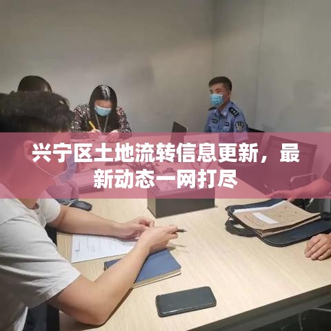 興寧區(qū)土地流轉信息更新，最新動態(tài)一網打盡