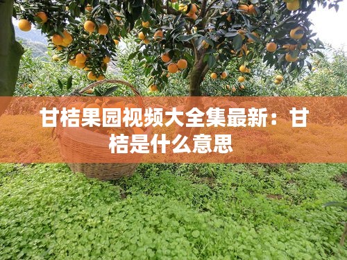 甘桔果園視頻大全集最新：甘桔是什么意思 