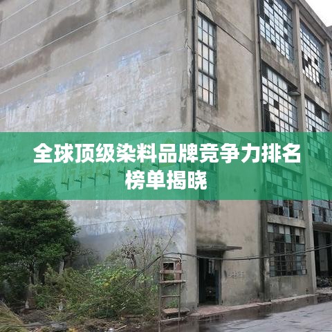 夯雀兒先飛 第2頁(yè)