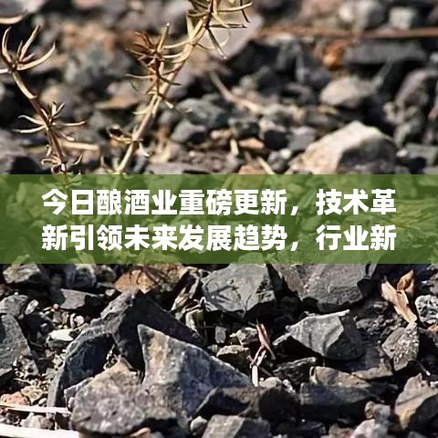今日釀酒業(yè)重磅更新，技術(shù)革新引領(lǐng)未來發(fā)展趨勢，行業(yè)新動向揭秘最新消息
