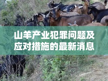 山羊產(chǎn)業(yè)犯罪問題及應對措施的最新消息解析