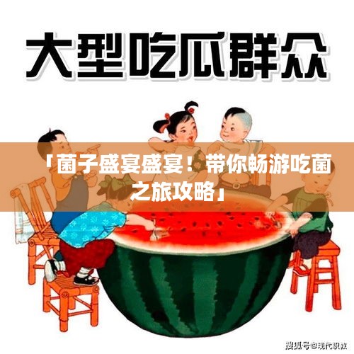 「菌子盛宴盛宴！帶你暢游吃菌之旅攻略」