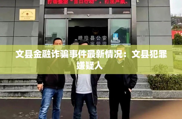 文縣金融詐騙事件最新情況：文縣犯罪嫌疑人 