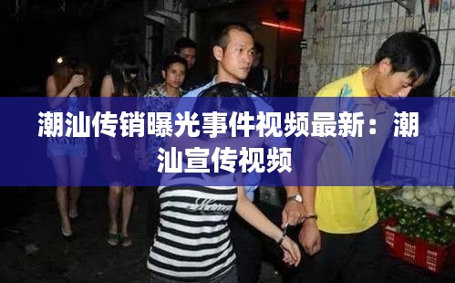 潮汕傳銷曝光事件視頻最新：潮汕宣傳視頻 