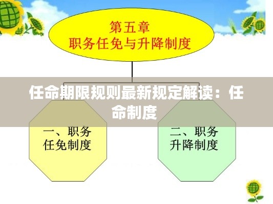 任命期限規(guī)則最新規(guī)定解讀：任命制度 