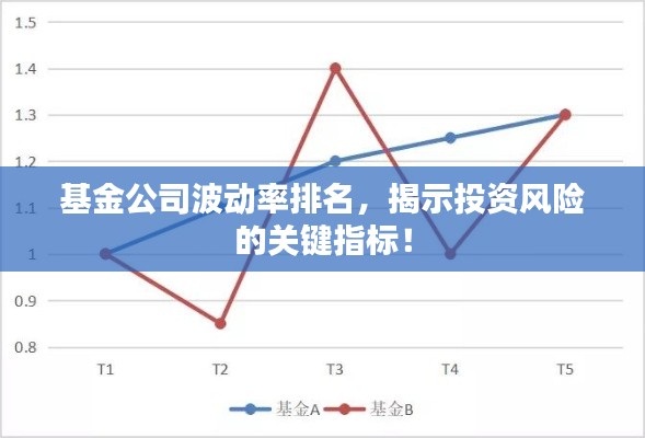基金公司波動(dòng)率排名，揭示投資風(fēng)險(xiǎn)的關(guān)鍵指標(biāo)！