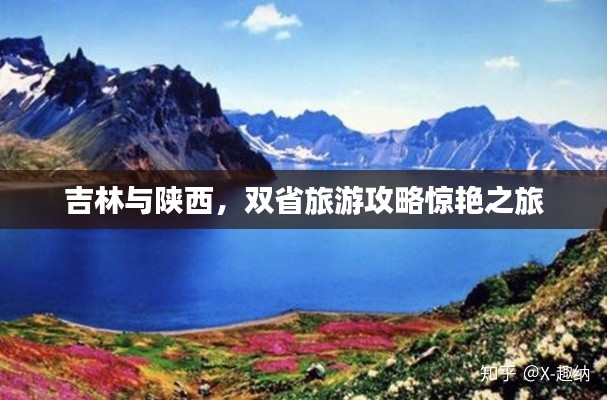 富貴有余 第3頁(yè)