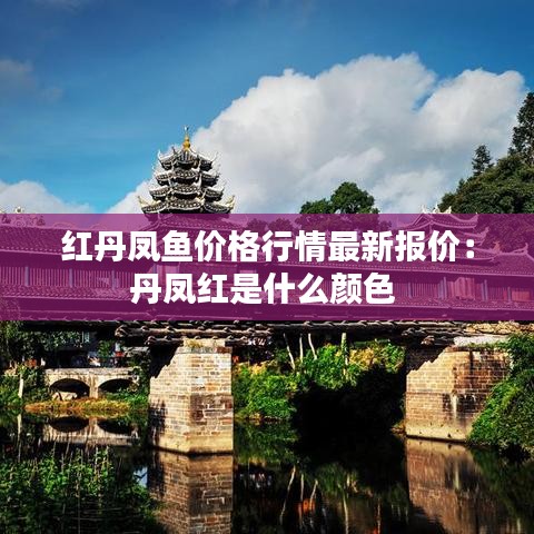 紅丹鳳魚價格行情最新報價：丹鳳紅是什么顏色 