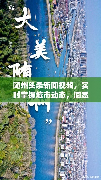 隨州頭條新聞視頻，實時掌握城市動態(tài)，洞悉變遷大事小情