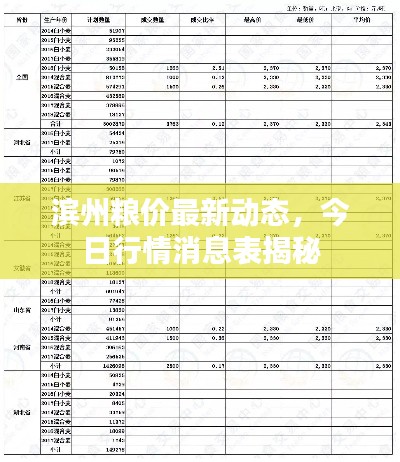 濱州糧價(jià)最新動態(tài)，今日行情消息表揭秘