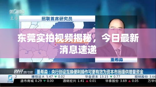 東莞實(shí)拍視頻揭秘，今日最新消息速遞
