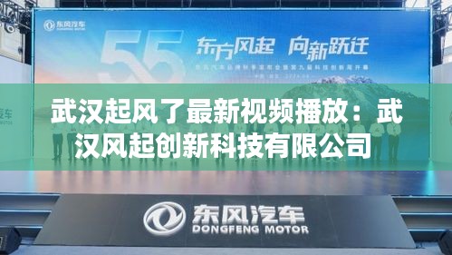 武漢起風(fēng)了最新視頻播放：武漢風(fēng)起創(chuàng)新科技有限公司 