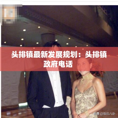 頭排鎮(zhèn)最新發(fā)展規(guī)劃：頭排鎮(zhèn)政府電話 